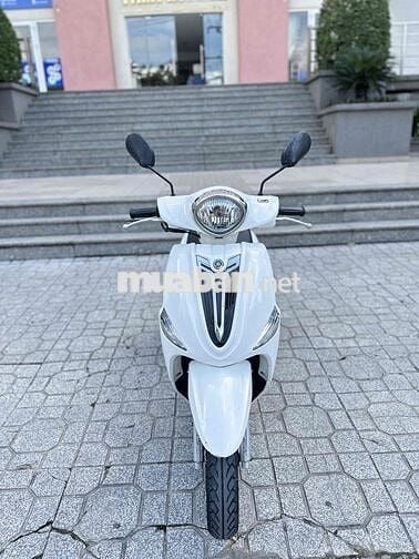 ❤️ Nozza Fi 2015 BSTP Zin Mộc 1 Đời Chủ Uỷ Quyền