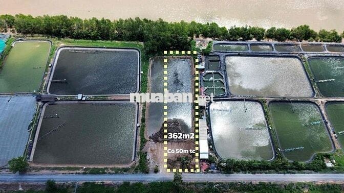 🌿 View sông giá rẻ sẵn thổ cư chỉ 460tr Tân Phú Đông, Tiền Giang