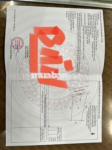 cần tiền bán nhà  mặt tiền đường lớn 227 mét vuông