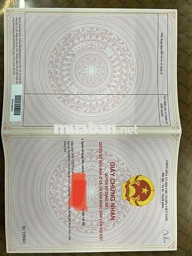 cần tiền bán nhà  mặt tiền đường lớn 227 mét vuông