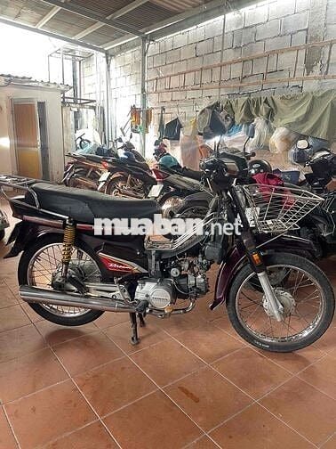 supper dream 99 bstp k9c