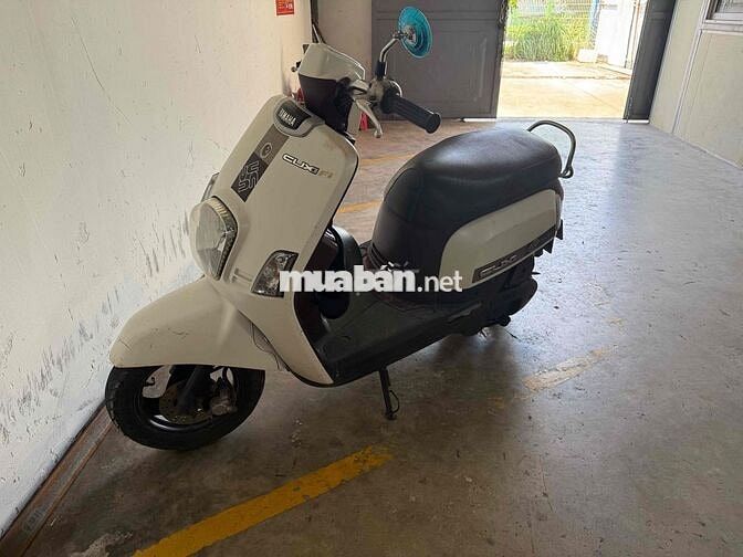 cần bán hoặc gl sang xe số