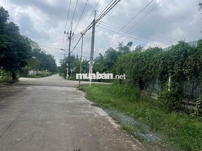 CCG ĐẤT THỔ CƯ KCN TÂY BẮC CHỈ 10TR/M2 - SHR