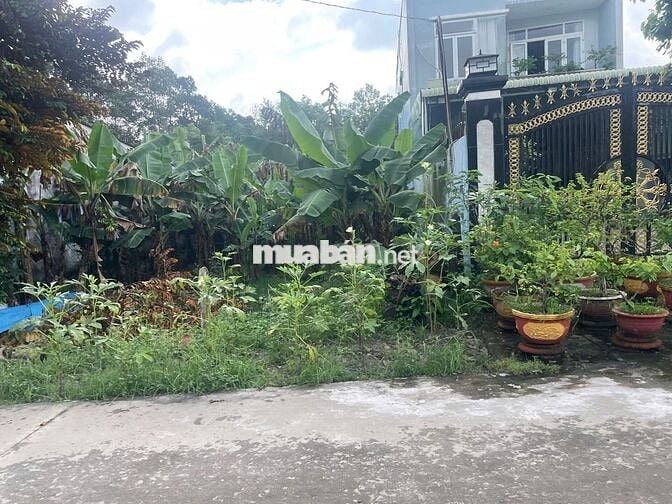 CCG ĐẤT THỔ CƯ KCN TÂY BẮC CHỈ 10TR/M2 - SHR