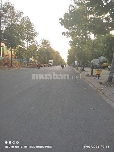 Đất Cát Lái 2 ngang 5x28 mặt đường 72tr/m đối diện Cảng sổ đỏ cầm tay