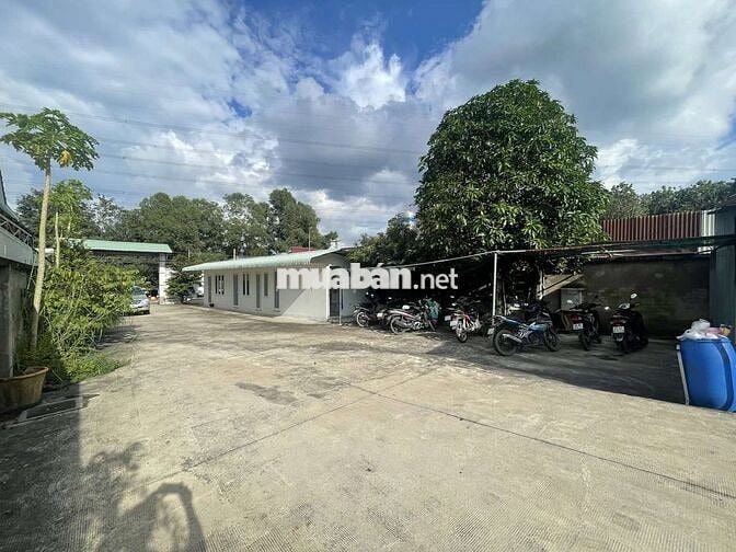 Cho thuê nhà xưởng dt748 Xã Phú An Thị Xã Bến Cát Bình Dương