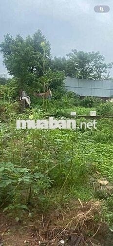 Hot ! Nhỉnh 20tr/m2 có lô đất Định Công Hạ-Oto 40m-Lô góc-70m;MT5m