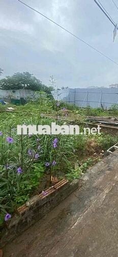 Hot ! Nhỉnh 20tr/m2 có lô đất Định Công Hạ-Oto 40m-Lô góc-70m;MT5m