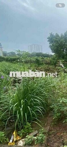 Hot ! Nhỉnh 20tr/m2 có lô đất Định Công Hạ-Oto 40m-Lô góc-70m;MT5m