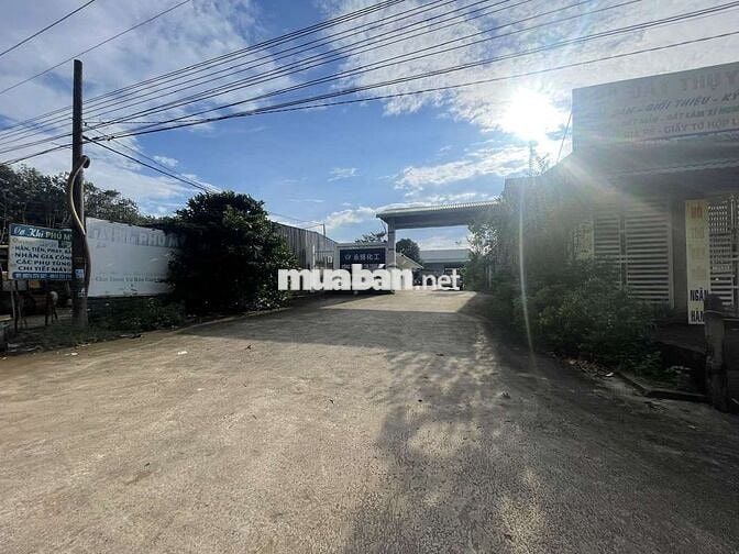 Cho thuê nhà xưởng dt748 Xã Phú An Thị Xã Bến Cát Bình Dương