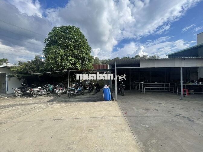 Cho thuê nhà xưởng dt748 Xã Phú An Thị Xã Bến Cát Bình Dương