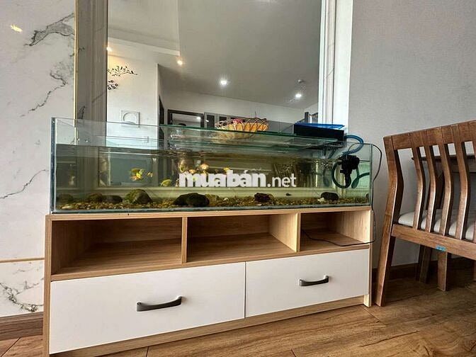 TL CHO THUÊ CĂN HỘ CHUNG CƯ PH TÔ HIÊU-VÕ THỊ SÁU, NAM NHA TRANG