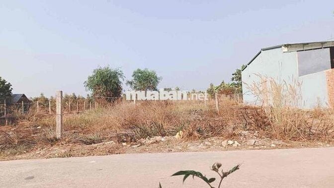 Cần bán lô đất ở huyện tân châu, Tây ninh