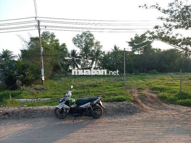 ĐẤT TRỒNG CÂY LÂU NĂM - 210,5m - HOÀ LỘC - TAM BÌNH - VĨNH LONG