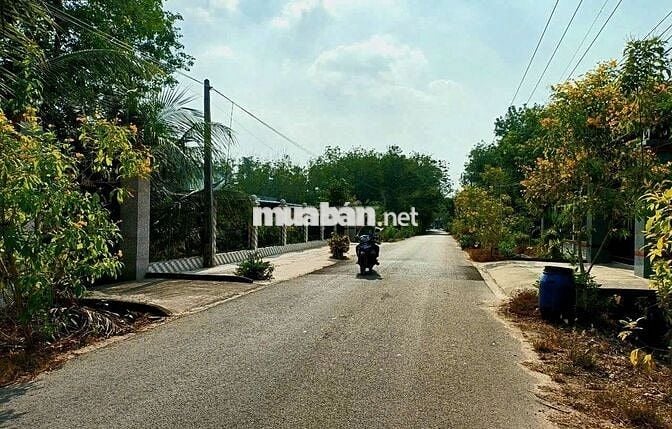 💥 CHỈ 590 triệu CÓ ĐƯỢC ĐẤT RẺ – KHÔNG TIN THÌ ĐI XEM