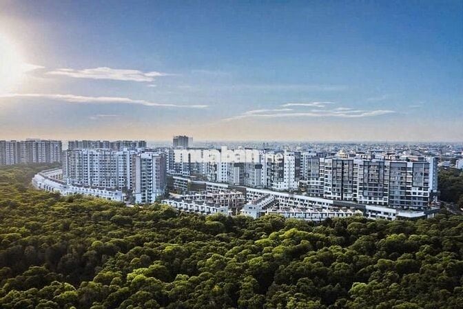 BÁN CĂN HỘ DIAMOND ALNATA,BRILLIANT,EMERALD CELADON CITY QUẬN TÂN PHÚ