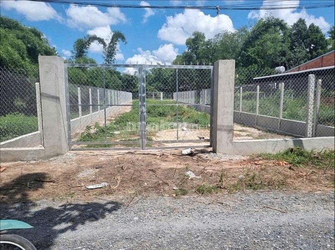 Siêu phẩm đất thổ vườn 1000m2 (12x85) có 100m2 đất ODT phường Gò Dầu