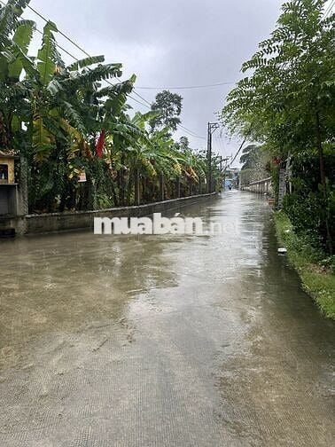 Chính chủ bán 100m2 đất mặt tiền kiệt Minh Mạng