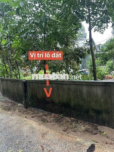 Chính chủ bán 100m2 đất mặt tiền kiệt Minh Mạng