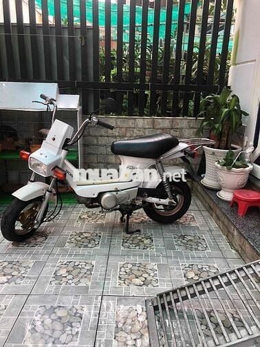 chaly84/50cc