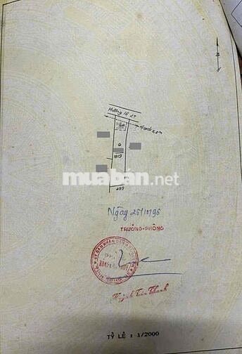 Đất mặt Tiền Trần Hưng Đạo, P Đông Hoà, Tp Dĩ An.