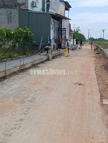 Đất đẹp bìa Xuân Long, Kim Anh (Tân Dân cũ), Hà Nôi