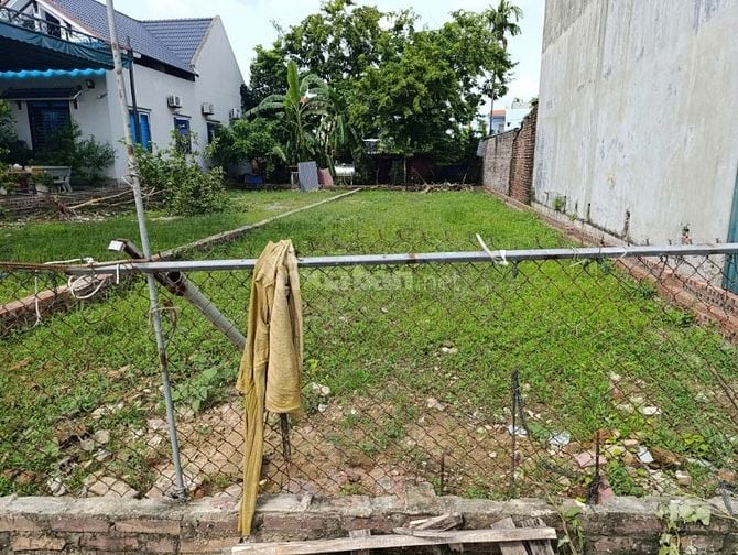 Đất đẹp bìa Xuân Long, Kim Anh (Tân Dân cũ), Hà Nôi