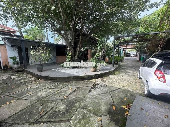 Sang hoặc cho thuê mặt bằng quán cà phê Bình Thọ