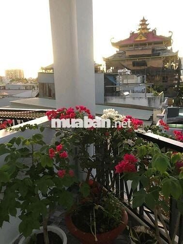 Nhà mễ cốc 2 căn 1 sổ 7x9 diện tích sàn 189m2