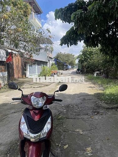 Chính chủ bán 2 lô đất view sông An Phú Đông - 116m2/lô full thổ