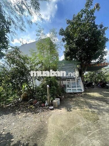 Chính chủ bán 2 lô đất view sông An Phú Đông - 116m2/lô full thổ