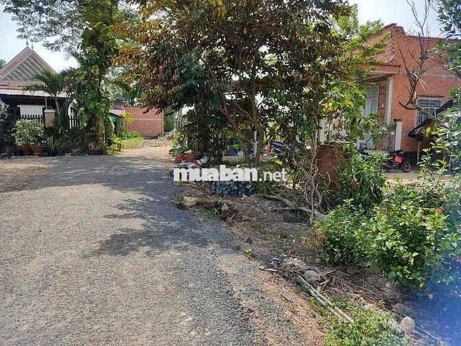 Đất chính chủ sổ hồng riêng 150 m2 cần bán trọng Tết