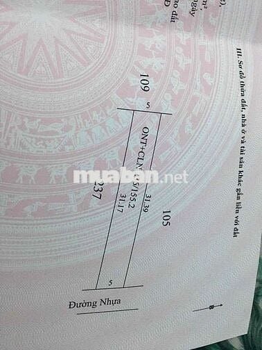 Đất chính chủ sổ hồng riêng 150 m2 cần bán trọng Tết