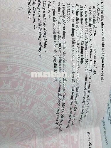 Đất chính chủ sổ hồng riêng 150 m2 cần bán trọng Tết