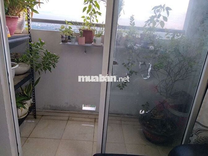 Tọa lạc nguyễn văn linh,căn hộ hoàng quân,diện tích 55m2,2p ngủ,2tolet