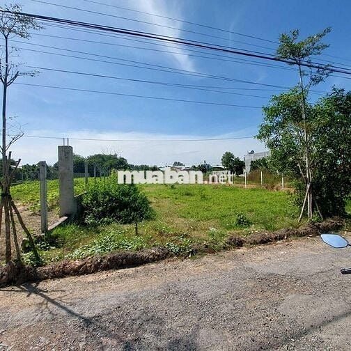 Bán lô đất 881m2 ngay Thanh Phước, Gò Dầu, dân cư đông, SHR, giá 960tr