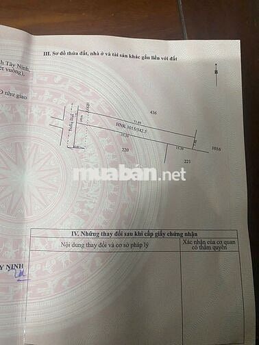 Đất đẹp 543m2 Gia Lộc, Trảng Bàng, TN. Đg nhựa, nở hậu, giá chỉ 1,1 tỷ