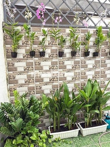 Bán nhà mặt tiền Đường Trần Não, P.Bình An, TP. Thủ Đức - Q2, 19tỷ