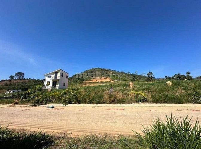 Công ty Đấu giá hợp danh Lam Sơn Sài Gòn THÔNG BÁO ĐẤU GIÁ TÀI SẢN