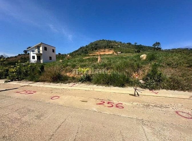 Công ty Đấu giá hợp danh Lam Sơn Sài Gòn THÔNG BÁO ĐẤU GIÁ TÀI SẢN