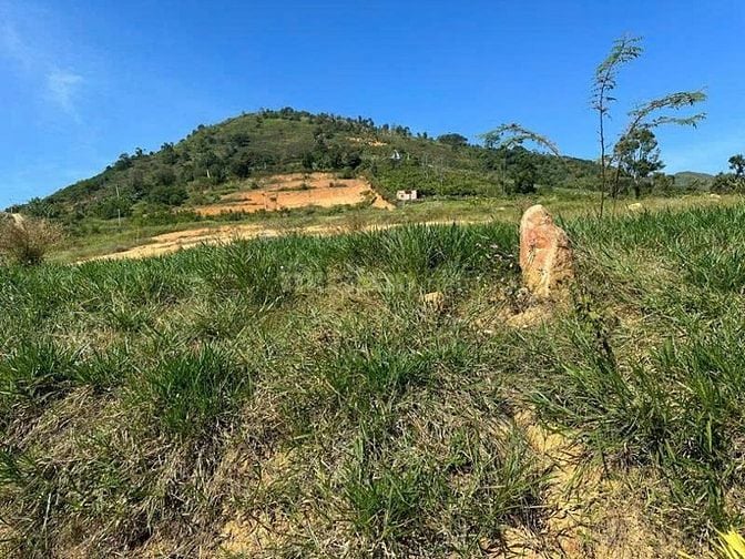 Công ty Đấu giá hợp danh Lam Sơn Sài Gòn THÔNG BÁO ĐẤU GIÁ TÀI SẢN