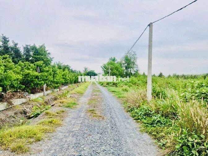 Hơn 1000m2 đường thông. Ngay KCN Phước Đông. 850tr