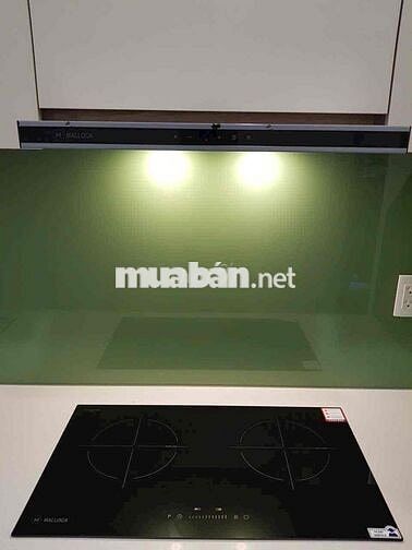 CHUYÊN CHO THUÊ Q7 RIVERSIDE COMPLEX 1PN 8tr 2PN 9tr 3PN 12tr giá tốt.