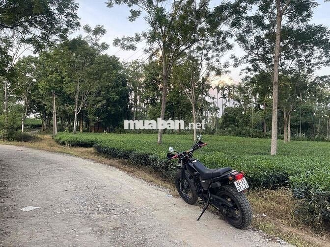 Yamaha TW225 hàng hiếm cho anh em chơi xe