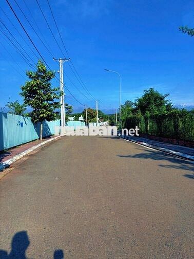 BÁN GẤP NỀN BIỆT THỰ 293M2 GIỮA 2 KCN LỚN, ĐỐI DIỆN CHUNG CƯ 9 TẦNG