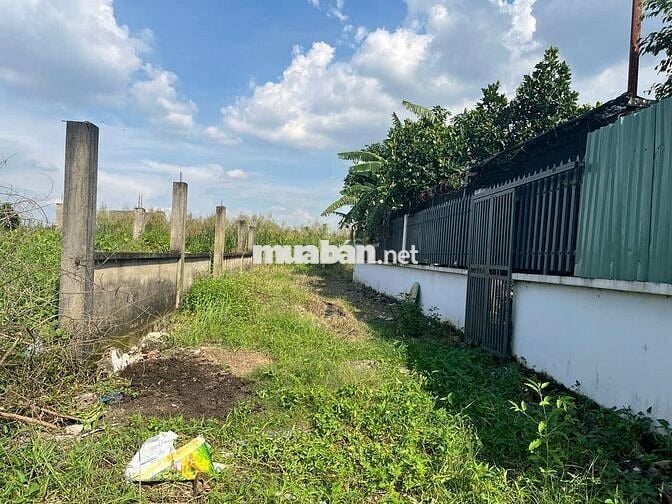 BÁN ĐẤT BÌNH MỸ KẾ ĐƯỜNG VÀNH ĐAI 3 VÀO 200M sdt