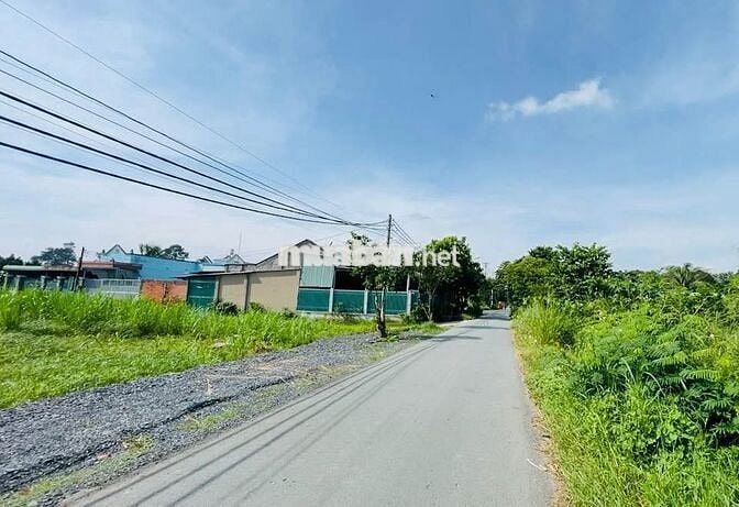 Gia đình đi cự bán  nhanh miếng đất 165m2 Tân Thông Hội, Củ Chi , SHR