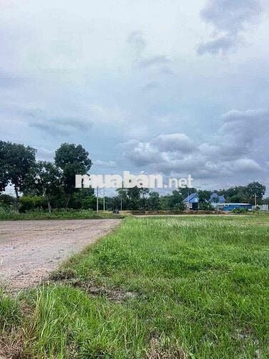 🌿 BÁN NHANH ĐẤT VƯỜN 1200m2-GIÁ 1tỷ2 - XÃ THÁI MỸ, CỦ CHI 🌿