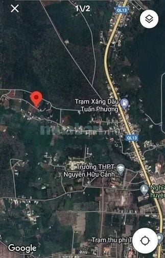 Đất Chính Chủ Sổ Hồng Riêng Sẵn Sàng Sang Tên Công Chứng 