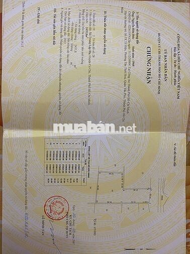 7000m2 đất trồng cây lâu năm mặt tiền đường bờ kênh